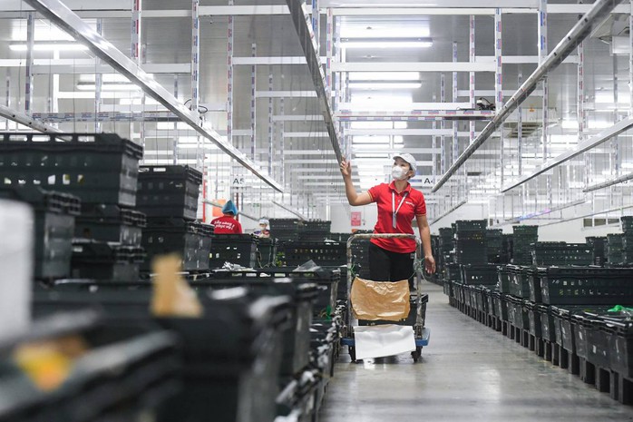 Nhân viên kho vận WinCommerce kiểm tra hệ thống phân chia hàng hóa tự động tại kho Supra Nhân viên kho vận WinCommerce kiểm tra hệ thống phân chia hàng hóa tự động tại kho Supra
