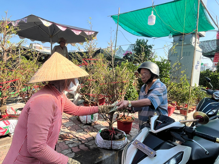Cây kiểng hữu cơ hút khách- Ảnh 1. Cây kiểng hữu cơ hút khách- Ảnh 1.