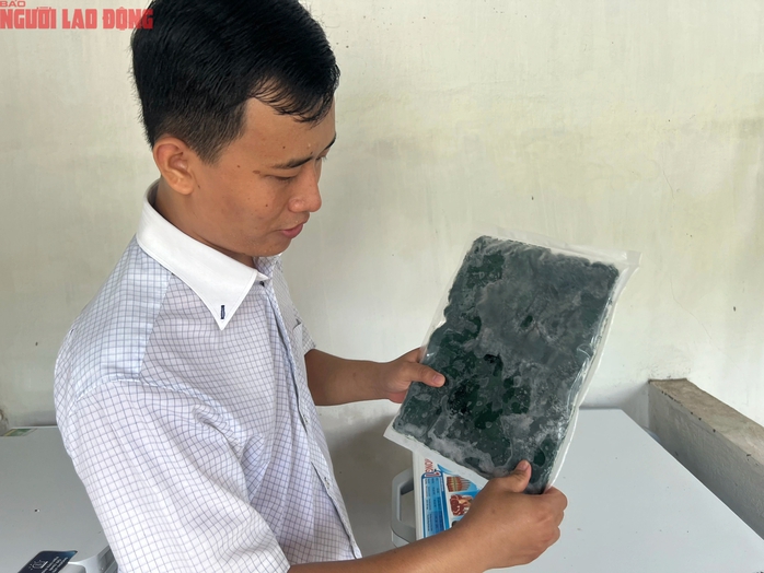 CLIP: Tảo "siêu thực phẩm" ở Vĩnh Long cháy hàng dịp Tết- Ảnh 5. CLIP: Tảo "siêu thực phẩm" ở Vĩnh Long cháy hàng dịp Tết- Ảnh 5.