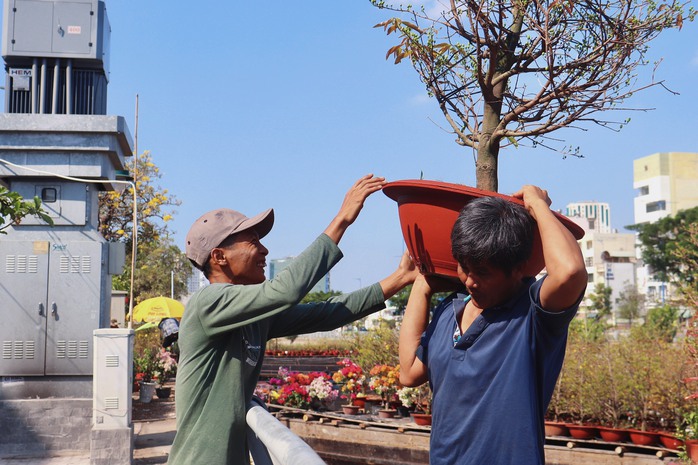 Tấp nập thuyền ghe trước khai mạc chợ hoa xuân Bến Bình Đông- Ảnh 6. Tấp nập thuyền ghe trước khai mạc chợ hoa xuân Bến Bình Đông- Ảnh 6.