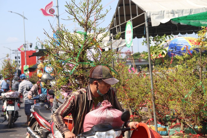 Tấp nập thuyền ghe trước khai mạc chợ hoa xuân Bến Bình Đông- Ảnh 3. Tấp nập thuyền ghe trước khai mạc chợ hoa xuân Bến Bình Đông- Ảnh 3.