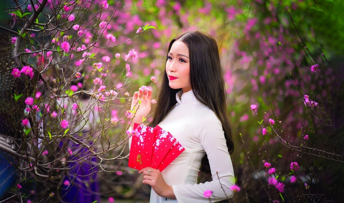 Hoa lá đường xuân- Ảnh 1. Hoa lá đường xuân- Ảnh 1.