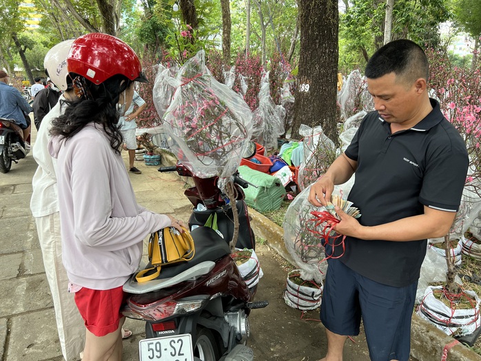 TP HCM: Đào giá rẻ được mua nhiều tại chợ hoa Tết- Ảnh 5. TP HCM: Đào giá rẻ được mua nhiều tại chợ hoa Tết- Ảnh 5.
