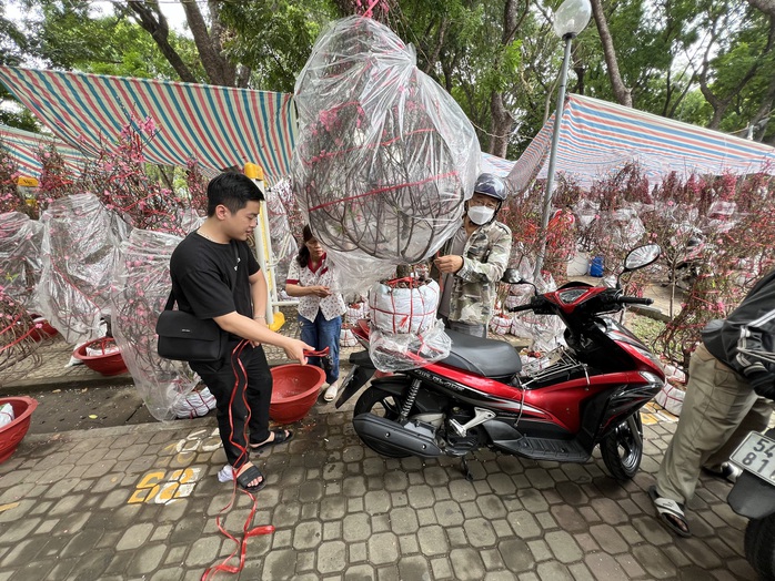 TP HCM: Đào giá rẻ được mua nhiều tại chợ hoa Tết- Ảnh 4. TP HCM: Đào giá rẻ được mua nhiều tại chợ hoa Tết- Ảnh 4.