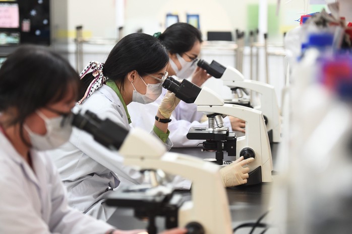 Lương chuyên gia cao cấp sẽ tương đương với lương bộ trưởng- Ảnh 1. Lương chuyên gia cao cấp sẽ tương đương với lương bộ trưởng- Ảnh 1.
