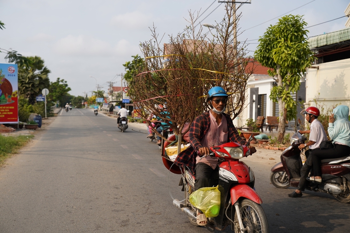 Làng nghề ở Bình Chánh chuẩn bị Tết- Ảnh 5. Làng nghề ở Bình Chánh chuẩn bị Tết- Ảnh 5.