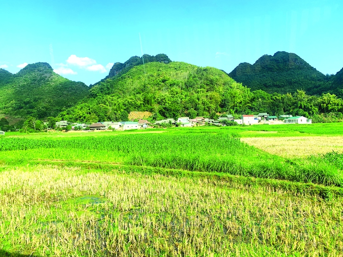Rồng bay trên những ngả đường Tây Bắc- Ảnh 2. Rồng bay trên những ngả đường Tây Bắc- Ảnh 2.