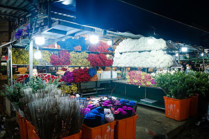 Chợ hoa Quảng Bá nhộn nhịp những ngày cận Tết Giáp Thìn 2024- Ảnh 1. Chợ hoa Quảng Bá nhộn nhịp những ngày cận Tết Giáp Thìn 2024- Ảnh 1.