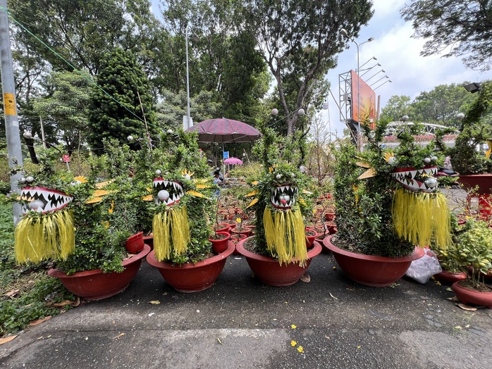 Chậu lan hồ điệp, mai vàng tiền tỉ xuất hiện tại TP HCM- Ảnh 7. Chậu lan hồ điệp, mai vàng tiền tỉ xuất hiện tại TP HCM- Ảnh 7.