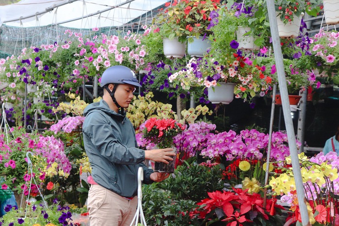 Tấp nập chợ hoa xuân Đà Nẵng, Quảng Ngãi ngày giáp tết- Ảnh 2. Tấp nập chợ hoa xuân Đà Nẵng, Quảng Ngãi ngày giáp tết- Ảnh 2.