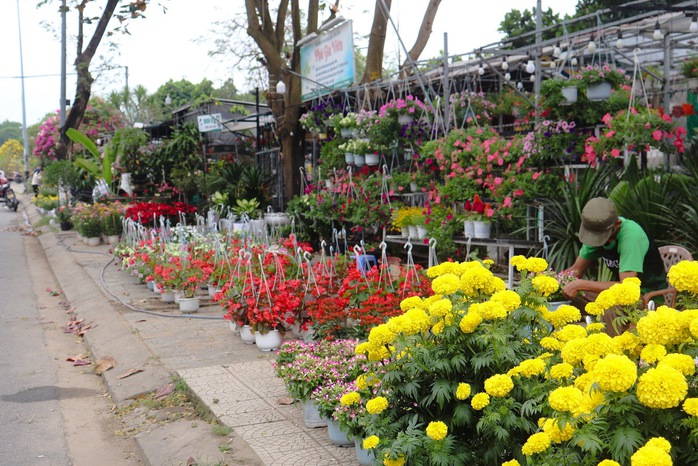 Tấp nập chợ hoa xuân Đà Nẵng, Quảng Ngãi ngày giáp tết- Ảnh 1. Tấp nập chợ hoa xuân Đà Nẵng, Quảng Ngãi ngày giáp tết- Ảnh 1.