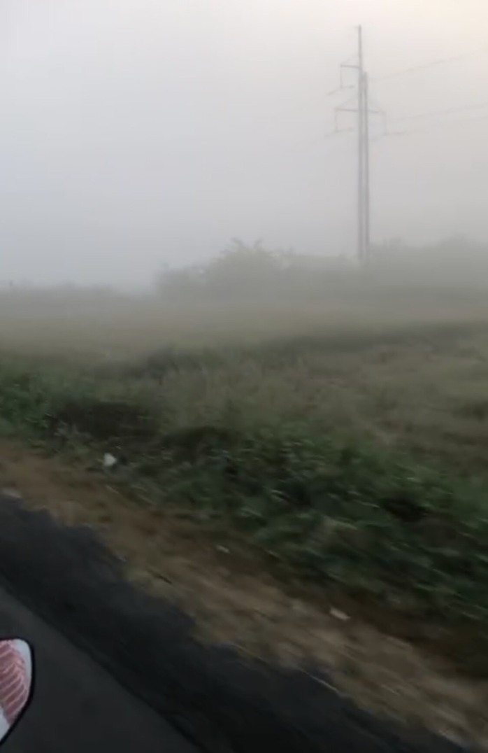 CLIP: Sương mù trắng xóa khiến Bạc Liêu như... Đà Lạt!- Ảnh 2. CLIP: Sương mù trắng xóa khiến Bạc Liêu như... Đà Lạt!- Ảnh 2.
