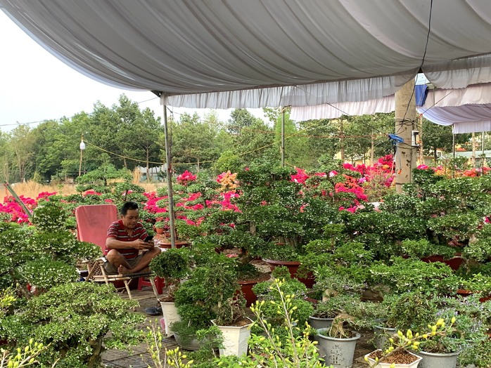Rực rỡ chợ hoa xuân ngày cận Tết- Ảnh 10. Rực rỡ chợ hoa xuân ngày cận Tết- Ảnh 10.