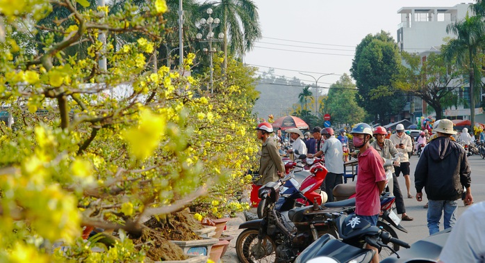 Tấp nập chợ hoa xuân Đà Nẵng, Quảng Ngãi ngày giáp tết- Ảnh 13. Tấp nập chợ hoa xuân Đà Nẵng, Quảng Ngãi ngày giáp tết- Ảnh 13.