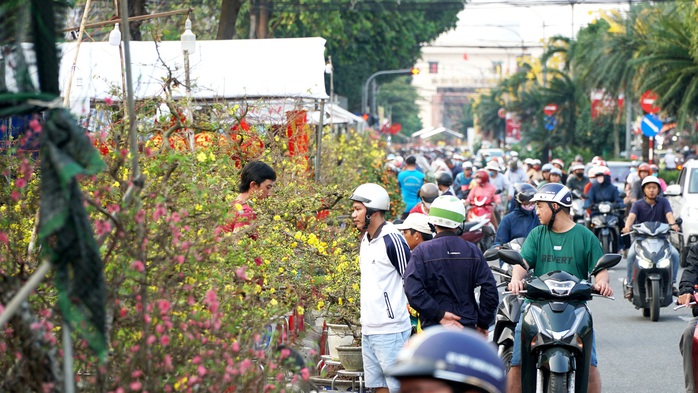 Tấp nập chợ hoa xuân Đà Nẵng, Quảng Ngãi ngày giáp tết- Ảnh 7. Tấp nập chợ hoa xuân Đà Nẵng, Quảng Ngãi ngày giáp tết- Ảnh 7.