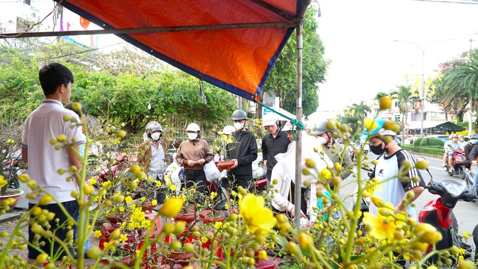 Tấp nập chợ hoa xuân Đà Nẵng, Quảng Ngãi ngày giáp tết- Ảnh 12. Tấp nập chợ hoa xuân Đà Nẵng, Quảng Ngãi ngày giáp tết- Ảnh 12.