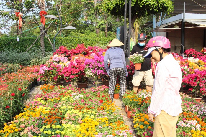 Một năm khó khăn, thương lái ở Bình Dương lo hoa ế đến đêm 30 Tết- Ảnh 2. Một năm khó khăn, thương lái ở Bình Dương lo hoa ế đến đêm 30 Tết- Ảnh 2.