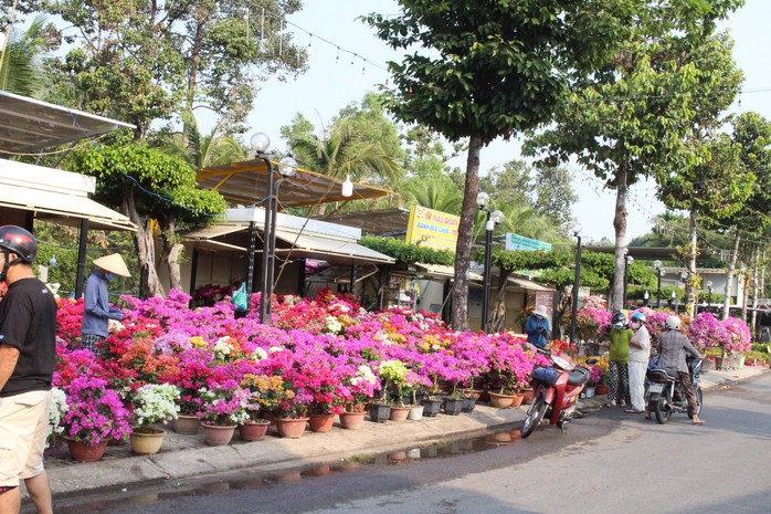 Một năm khó khăn, thương lái ở Bình Dương lo hoa ế đến đêm 30 Tết- Ảnh 6. Một năm khó khăn, thương lái ở Bình Dương lo hoa ế đến đêm 30 Tết- Ảnh 6.