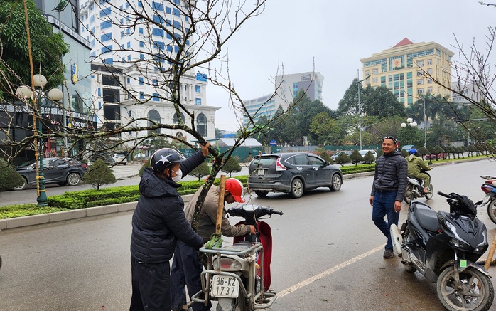 Đào rừng vứt thành đống trên phố ngày 30 Tết- Ảnh 10. Đào rừng vứt thành đống trên phố ngày 30 Tết- Ảnh 10.