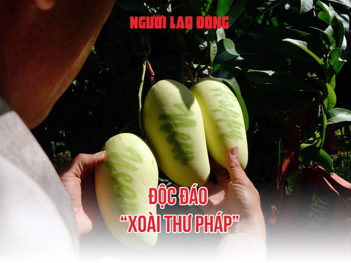 VIDEO: Độc đáo xoài khắc hình rồng không đủ bán dịp Tết- Ảnh 1. VIDEO: Độc đáo xoài khắc hình rồng không đủ bán dịp Tết- Ảnh 1.