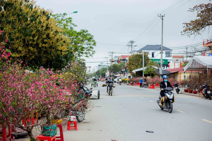 Khung cảnh nhộn nhịp ở chợ hoa Ba Đồn ngày giáp Tết- Ảnh 10. Khung cảnh nhộn nhịp ở chợ hoa Ba Đồn ngày giáp Tết- Ảnh 10.