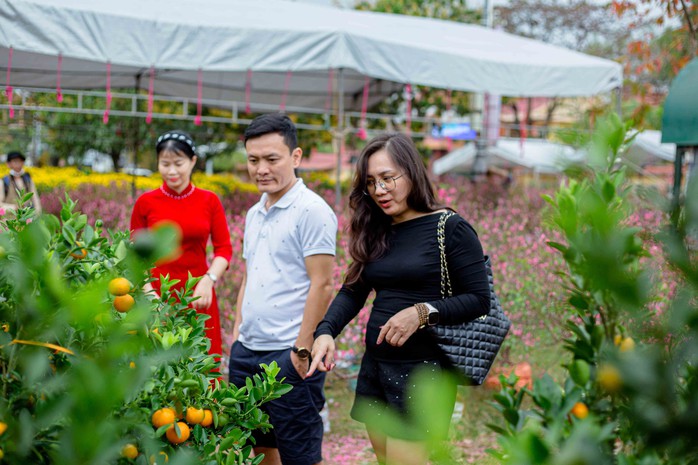 Khung cảnh nhộn nhịp ở chợ hoa Ba Đồn ngày giáp Tết- Ảnh 1. Khung cảnh nhộn nhịp ở chợ hoa Ba Đồn ngày giáp Tết- Ảnh 1.