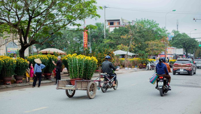 Khung cảnh nhộn nhịp ở chợ hoa Ba Đồn ngày giáp Tết- Ảnh 8. Khung cảnh nhộn nhịp ở chợ hoa Ba Đồn ngày giáp Tết- Ảnh 8.