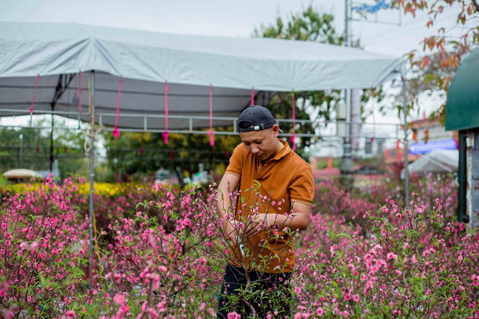 Khung cảnh nhộn nhịp ở chợ hoa Ba Đồn ngày giáp Tết- Ảnh 4. Khung cảnh nhộn nhịp ở chợ hoa Ba Đồn ngày giáp Tết- Ảnh 4.