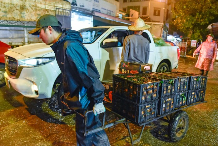 Mưu sinh trong mưa, rét ngày Tết ở chợ đầu mối lớn nhất Thanh Hóa- Ảnh 1. Mưu sinh trong mưa, rét ngày Tết ở chợ đầu mối lớn nhất Thanh Hóa- Ảnh 1.