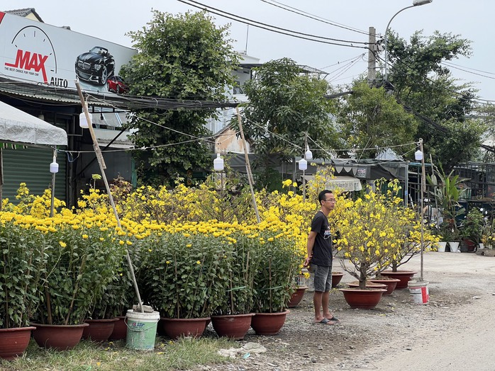 Khung cảnh buồn ở chợ hoa Tết TP HCM- Ảnh 3.