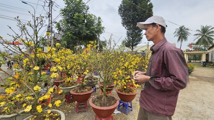 Sắc vàng rực rỡ ở làng mai Háo Đức- Ảnh 10. Sắc vàng rực rỡ ở làng mai Háo Đức- Ảnh 10.