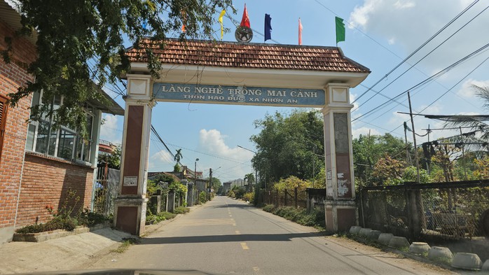 Sắc vàng rực rỡ ở làng mai Háo Đức- Ảnh 1. Sắc vàng rực rỡ ở làng mai Háo Đức- Ảnh 1.