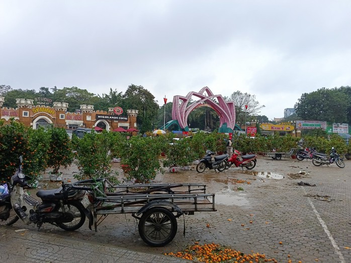 Chiều 30 Tết, cây cảnh giảm giá kịch sàn nhưng không có người mua- Ảnh 6. Chiều 30 Tết, cây cảnh giảm giá kịch sàn nhưng không có người mua- Ảnh 6.