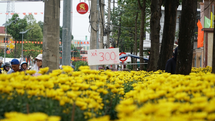 30 Tết: Hoa trên nhiều tỉnh, thành đua nhau “xả lỗ”- Ảnh 11. 30 Tết: Hoa trên nhiều tỉnh, thành đua nhau “xả lỗ”- Ảnh 11.