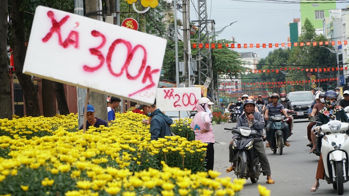 30 Tết: Hoa trên nhiều tỉnh, thành đua nhau “xả lỗ”- Ảnh 13. 30 Tết: Hoa trên nhiều tỉnh, thành đua nhau “xả lỗ”- Ảnh 13.