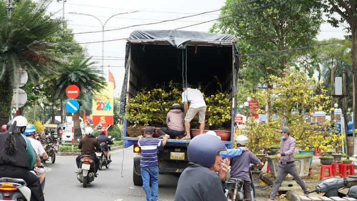 30 Tết: Hoa trên nhiều tỉnh, thành đua nhau “xả lỗ”- Ảnh 17. 30 Tết: Hoa trên nhiều tỉnh, thành đua nhau “xả lỗ”- Ảnh 17.