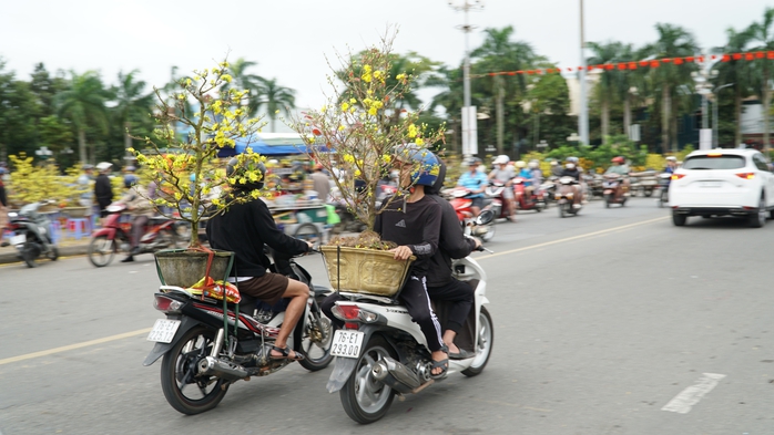 30 Tết: Hoa trên nhiều tỉnh, thành đua nhau “xả lỗ”- Ảnh 15. 30 Tết: Hoa trên nhiều tỉnh, thành đua nhau “xả lỗ”- Ảnh 15.