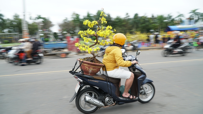 30 Tết: Hoa trên nhiều tỉnh, thành đua nhau “xả lỗ”- Ảnh 16. 30 Tết: Hoa trên nhiều tỉnh, thành đua nhau “xả lỗ”- Ảnh 16.