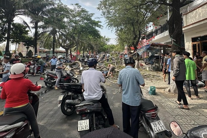 Giải cứu cô gái bị cây phượng bật gốc đè ngất xỉu chiều 30 Tết- Ảnh 3. Giải cứu cô gái bị cây phượng bật gốc đè ngất xỉu chiều 30 Tết- Ảnh 3.