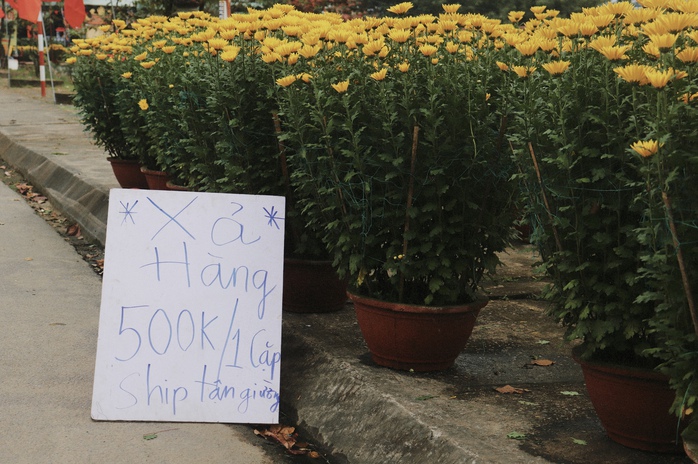 30 Tết: Hoa trên nhiều tỉnh, thành đua nhau “xả lỗ”- Ảnh 18. 30 Tết: Hoa trên nhiều tỉnh, thành đua nhau “xả lỗ”- Ảnh 18.