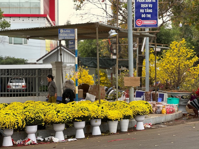 30 Tết: Hoa trên nhiều tỉnh, thành đua nhau “xả lỗ”- Ảnh 10. 30 Tết: Hoa trên nhiều tỉnh, thành đua nhau “xả lỗ”- Ảnh 10.