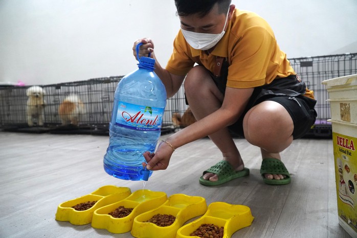 Muôn kiểu “trông” thú cưng mùa Tết- Ảnh 5. Muôn kiểu “trông” thú cưng mùa Tết- Ảnh 5.