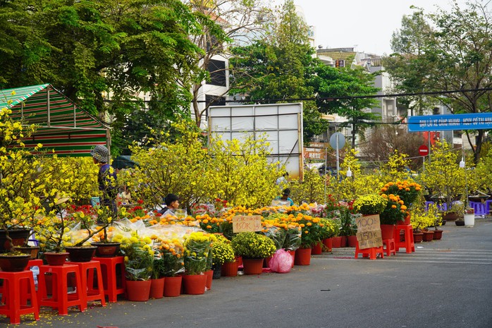 30 Tết: Hoa trên nhiều tỉnh, thành đua nhau “xả lỗ”- Ảnh 6. 30 Tết: Hoa trên nhiều tỉnh, thành đua nhau “xả lỗ”- Ảnh 6.