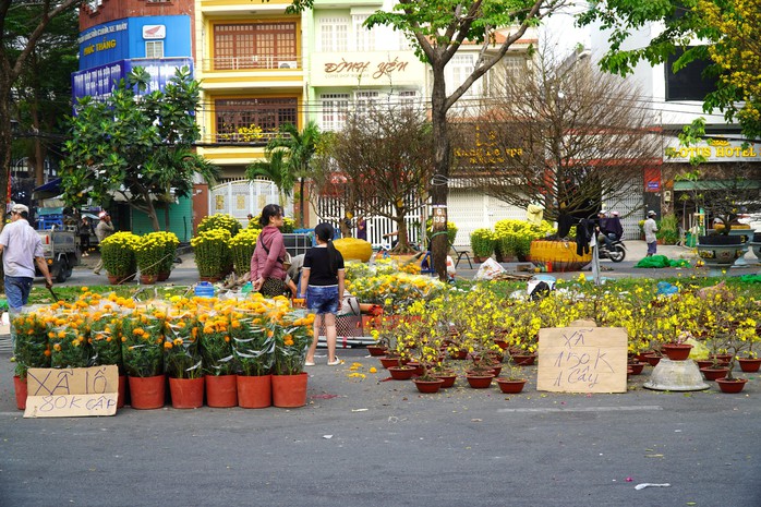 30 Tết: Hoa trên nhiều tỉnh, thành đua nhau “xả lỗ”- Ảnh 5. 30 Tết: Hoa trên nhiều tỉnh, thành đua nhau “xả lỗ”- Ảnh 5.