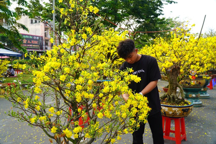 30 Tết: Hoa trên nhiều tỉnh, thành đua nhau “xả lỗ”- Ảnh 2. 30 Tết: Hoa trên nhiều tỉnh, thành đua nhau “xả lỗ”- Ảnh 2.