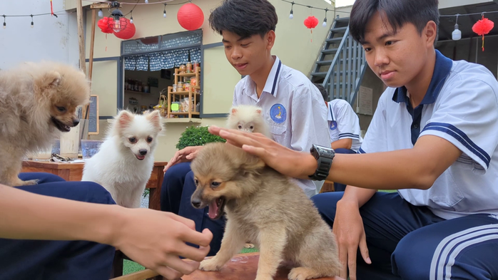 VIDEO: Quán cà phê thú cưng đáng yêu ở Cần Thơ- Ảnh 1. VIDEO: Quán cà phê thú cưng đáng yêu ở Cần Thơ- Ảnh 1.