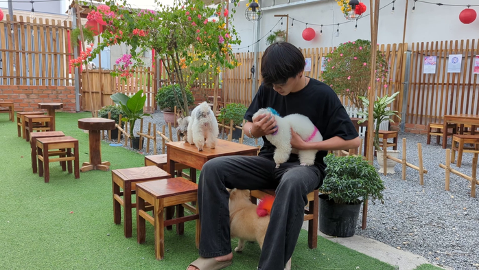 VIDEO: Quán cà phê thú cưng đáng yêu ở Cần Thơ- Ảnh 2. VIDEO: Quán cà phê thú cưng đáng yêu ở Cần Thơ- Ảnh 2.