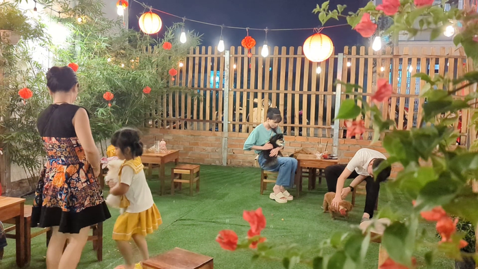 VIDEO: Quán cà phê thú cưng đáng yêu ở Cần Thơ- Ảnh 5. VIDEO: Quán cà phê thú cưng đáng yêu ở Cần Thơ- Ảnh 5.