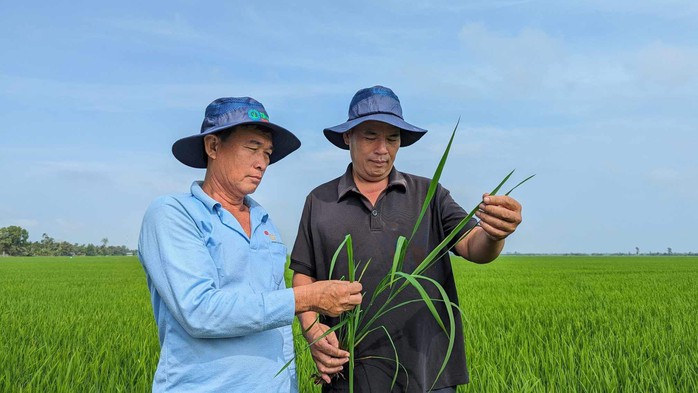 Bí thư Nguyễn Văn Hiếu: Đã có quy hoạch mà còn tự phát là do quản lý kém- Ảnh 3. Bí thư Nguyễn Văn Hiếu: Đã có quy hoạch mà còn tự phát là do quản lý kém- Ảnh 3.
