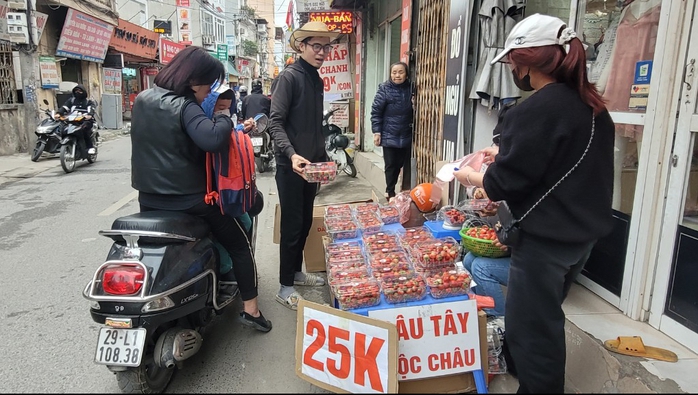 Dâu tây xuống phố, nông dân thu về trăm triệu đồng mỗi ha- Ảnh 2. Dâu tây xuống phố, nông dân thu về trăm triệu đồng mỗi ha- Ảnh 2.